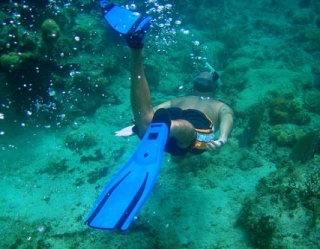  Snorkeling in the Mexican Caribbean 